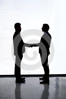 Lets make success happen together. two businessmen shaking hands in an office.