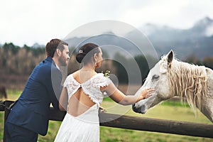 Lets ride off into the sunset. Shot of a happy newlywed young couple petting a horse outside on their wedding day.