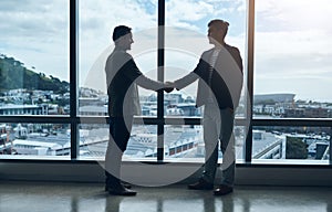 Lets take success further. two young businessmen shaking hands in a modern office.