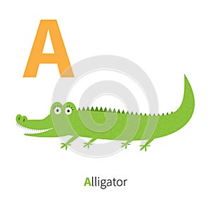 Letter A Alligator Zoo alphabet. English abc with animals Education cards for kids White background Flat design