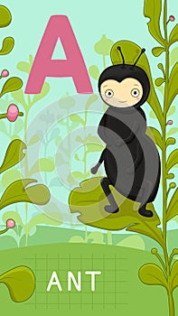 Letter A, animal ABC