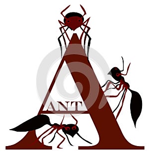 LETTER A (ant)