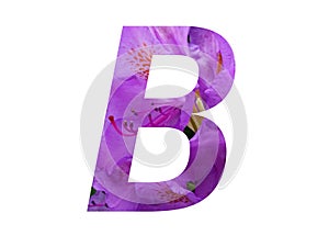 Letter B of the alphabet made with pink flower of Rhododendron