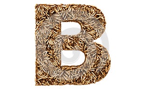 Letter B from bullets, 3D rendering