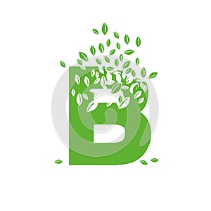 The letter B dissolves into a cloud of leaves photo