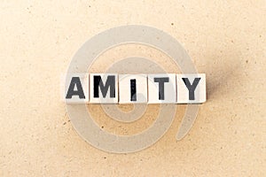 Alphabet letter block in word amity on wood background