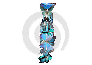 Letter of blue butterfly