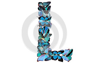 Letter of blue butterfly