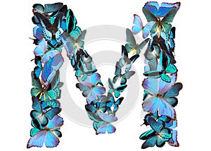 Letter of blue butterfly