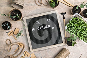 Letter board with text Oh my Garden. place. Planting seeds in Biodegradable paper eco-friendly seed pots. Garden shovel and rake