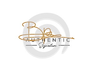 Letter BP Signature Logo Template Vector