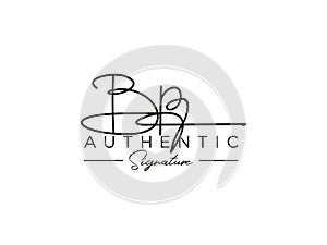 Letter BP Signature Logo Template Vector