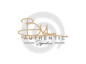 Letter BU Signature Logo Template Vector