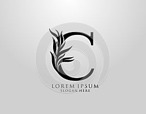 Letter C logo Nature Leaves Logo, alphabetical leaf icon