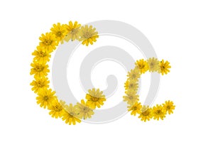 Letter C made from yellow Wedelia flowers