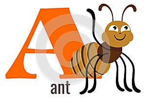 A letter card. Cartoon ant on alphabet symbol