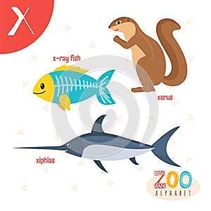 Letter X. Cute animals. Funny cartoon animals in vector. ABC boo