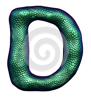 Letter D made of natural green snake skin texture isolated on white.