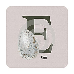 Letter E with egg decor on the square card. Watercolor illustration. Forest nature ABC alphabet element for study