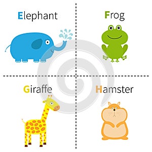 Letter E F G H Elephant Frog Giraffe Hamster Zoo alphabet. English abc with animals Education cards for kids White backgr