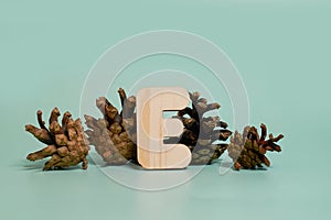 Letter E. A wooden letter of the English alphabet and four pine cones