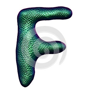 Letter F made of natural green snake skin texture isolated on white.