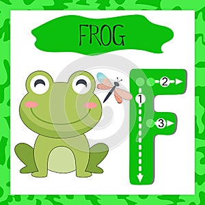 Letter F uppercase cute children colorful zoo and animals