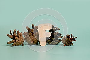 Letter F. A wooden letter of the English alphabet and four pine cones