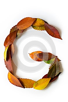 Letter G of colorful autumn leaves. Character G mades of fall foliage. Autumnal design font concept. Seasonal decorative beautiful