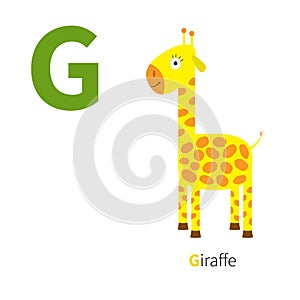 Letter G Giraffe Zoo alphabet. English abc with animals Education cards for kids White background Flat design