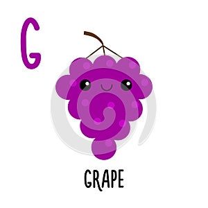 Letter G Grape. Animal and food alphabet for kids. Cute cartoon kawaii English abc. Funny Zoo Fruit Vegetable learning. Education