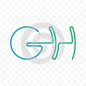 Letter G H ligature monogram vector icon photo