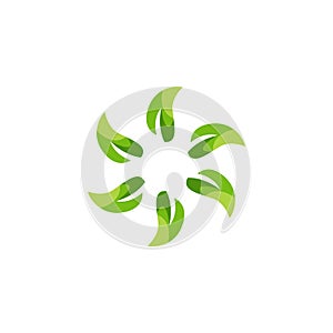 Letter G Leaf Logo Design Template Element