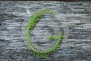Letter G from leaves on a wooden surface