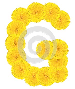 Letter G made from dandelions