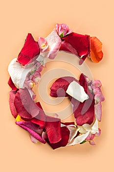 Letter G made from red roses and petals isolated on a white background