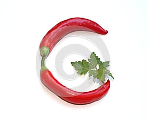 letter G from red chili pepper and green herb cook book, letter for recipe