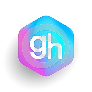 Letter GH logo in hexagon shape and colorful background, letter combination logo design for business and company identity photo