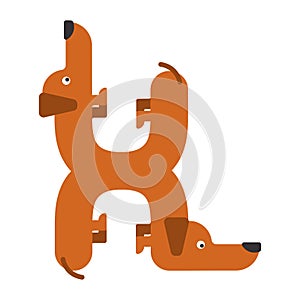 Letter H is dog. pet font. Dachshund alphabet. Lettering home an