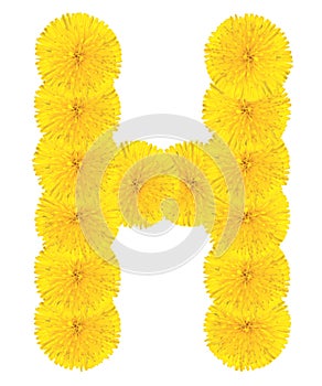 Letter H made from dandelions