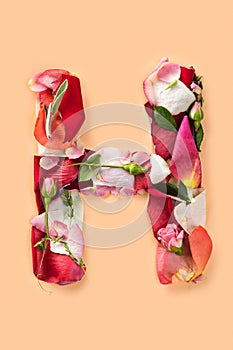 Letter H made from red roses and petals on a white background