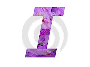 Letter I of the alphabet made with pink flower of Rhododendron