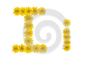 Letter I, alphabet made from yellow Wedelia flowers