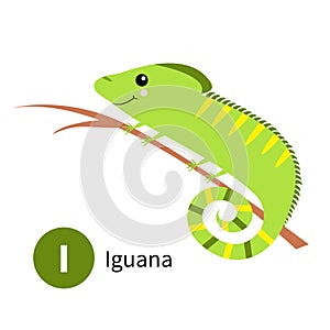 Letter I. Iguana. Zoo animal alphabet. English abc with cute cartoon kawaii funny baby animals. Education cards for kids. Isolated