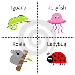 Letter I J K L Iguana Jellyfish Koala Ladybug Zoo alphabet. English abc with animals Education cards for kids White back