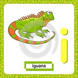 Letter I lowercase with cute cartoon Green Iguana lizard isolated on white background. Funny colorful flashcard Zoo and animals