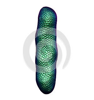 Letter I made of natural green snake skin texture isolated on white.