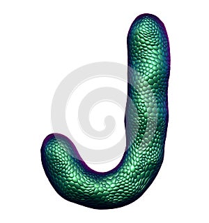 Letter J made of natural green snake skin texture isolated on white.