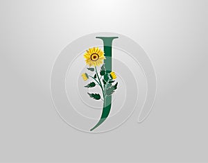 Letter J vector alphabet with sunflower. Flower Plant Logo Icon. Typography design