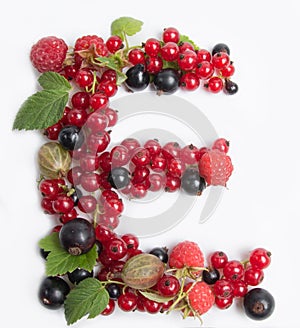 letter of juicy fruit E